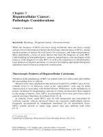 Hepatocellular Carcinoma: Targeted Therapy and Multidisciplinary P6 ppsx