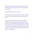 Hệ thống ngành Luật Lao động docx