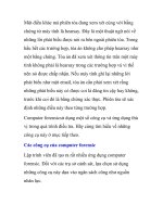 Forensic hoạt động như thế nào- P4 pot