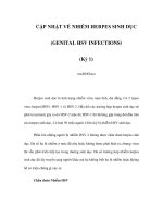 CẬP NHẬT VỀ NHIỄM HERPES SINH DỤC (GENITAL HSV INFECTIONS) (Kỳ 1) pot
