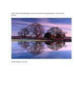 Tạo ảnh động ppsx