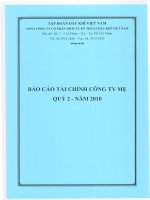 báo cáo tài chính của công ty mẹ quý 2 năm 2010 tổng công ty cổ phần dịch vụ kỹ thuật dầu khí việt nam