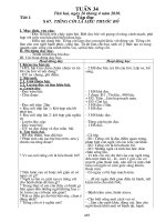 GA lớp 4 Tuần 34 (Hay)