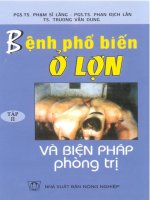 Bệnh phổ biến ở lợn - Tập 2 pot