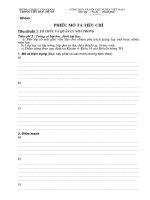 MẪU PHIẾU MÔ TẢ 33 TIÊU CHÍ ĐÁNH GIÁ