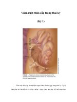 Viêm ruột thừa cấp trong thai kỳ (Kỳ 1) pdf