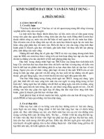 Sáng kiến kinh nghiệm (chuẩn)