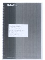 báo cáo tài chính hợp nhất đã được soát xét quý 1 năm 2010 tổng công ty cổ phần dịch vụ kỹ thuật dầu khí việt nam