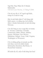 Ngộ Độc Thực Phẩm Do Vi Khuẩn Salmonella pdf