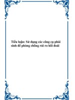 Tiểu luận - Sử dụng các công cụ phái sinh để phòng chống rủi ro hối đoái doc