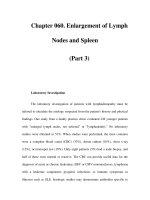 Chapter 060. Enlargement of Lymph Nodes and Spleen (Part 3) pdf