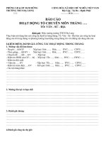 mẫu báo cáo hđ tổ/tháng