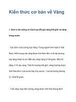 Kiến thức cơ bản về Vàng pptx