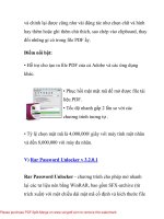 Gỡ bỏ mật mã cho Office, PDF, RAR (5 trong 1) với Password Unlocker 2010- P2 pptx