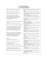 Color Of The Wind pps