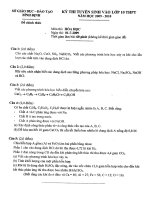 Đề thi tuyển sinh lớp 10 chuyên Bình Định 2009-2010