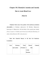 Chapter 101. Hemolytic Anemias and Anemia Due to Acute Blood Loss (Part 6) doc