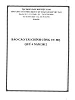 báo cáo tài chính công ty ty quý 4 2012 tổng công ty cổ phần dịch vụ kỹ thuật dầu khí việt nam