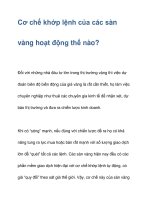 Cơ chế khớp lệnh của các sàn vàng hoạt động thế nào? pdf