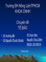 CHUYÊN ĐỀ TẾ BÀO docx
