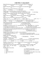 de cuong trac nghiem 10