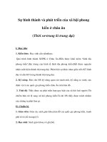 Lịch sử lớp 6 - Sự hình thành và phát triển của xã hội phong kiến ở châu âu ppsx