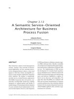 Electronic Business: Concepts, Methodologies, Tools, and Applications (4-Volumes) P58 doc