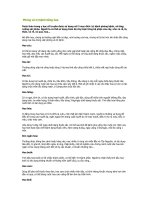 Phòng và trị bệnh bằng hoa ppt