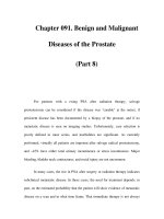 Chapter 091. Benign and Malignant Diseases of the Prostate (Part 8) docx