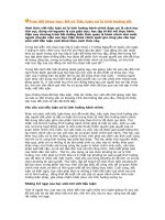 huong dan viet luan van cuoi khoa