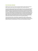 Cây ớt chữa được nhiều bệnh pdf