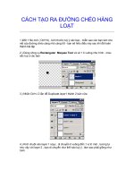 CÁCH TẠO RA ĐƯỜNG CHÉO HÀNG LOẠT pdf