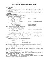 Đề cương ôn tập HK 2 - Toán 8