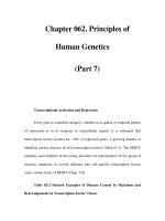 Chapter 062. Principles of Human Genetics (Part 7) potx