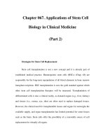 Chapter 067. Applications of Stem Cell Biology in Clinical Medicine (Part 2) pps