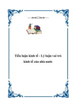 Tiểu luận kinh tế - Lý luận vai trò kinh tế của nhà nước potx