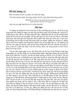 Bài văn đạt giải nhất  bảng A năm 2003