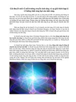 Giả thuyết mới về môi trường truyền ánh sáng và sự giải thích hợp lý về lưỡng tính sóng hạt của ánh sáng.