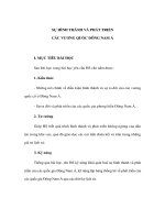 SỰ HÌNH THÀNH VÀ PHÁT TRIỂN CÁC VƯƠNG QUỐC ĐÔNG NAM Á - Giáo án lịch sử lớp 9 doc