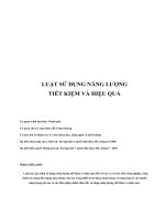 Luật sử dụng năng lượng tiết kiệm, hiệu quả