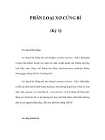 PHÂN LOẠI XƠ CỨNG BÌ (Kỳ 1) ppsx