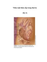 Viêm ruột thừa cấp trong thai kỳ (Kỳ 2) docx