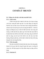 tính toán thiết bị lái bằng phương pháp lí thuyết với yêu cầu quy phạm, chương 1 pdf