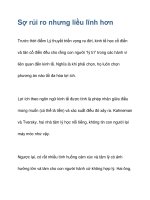 Sợ rủi ro nhưng liều lĩnh hơn potx