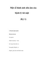 Một số hình ảnh siêu âm của bệnh lý túi mật (Kỳ 1) pps