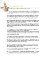 Dùng tỏi trị bệnh thế nào cho đúng pdf