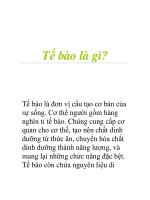 Tế bào là gì? ppsx