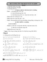 Đe Cuong On Thi HKII Toan 10 (2010)