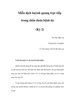 Miễn dịch huỳnh quang trực tiếp trong chẩn đoán bệnh da (Kỳ 2) docx