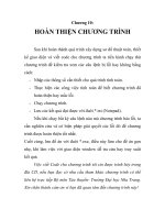 Lập chương trình tính toán thủy động học bánh lái, chương 10 ppsx